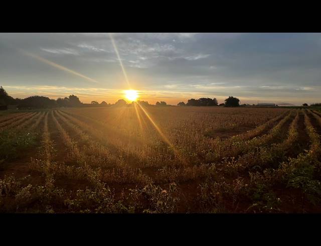 1.60HA VACANT LAND FOR SALE IN DROOGEFONTEIN